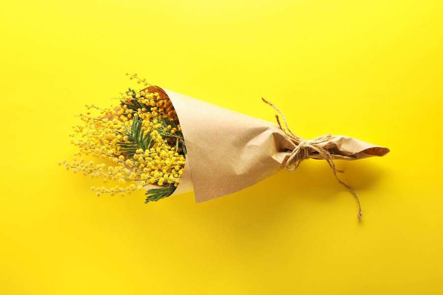 Flores de mimosa amarilla envueltas en papel marrón con cordel sobre fondo amarillo. — Flor de Mimosa Fondos de pantalla