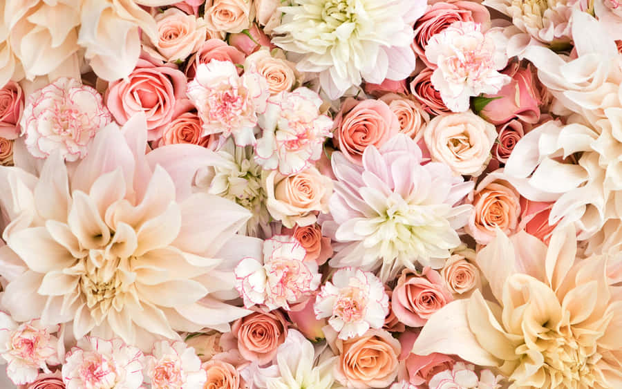 A close-up of a dense floral arrangement with pastel pink peach and cream blooms. — Floral Background