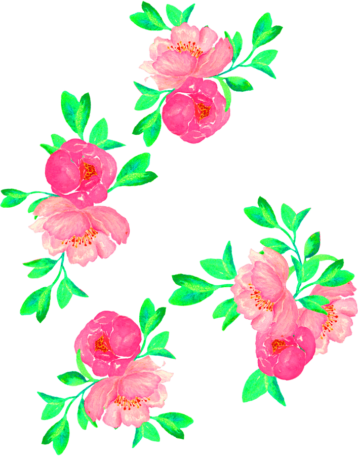 Floral Vector Png