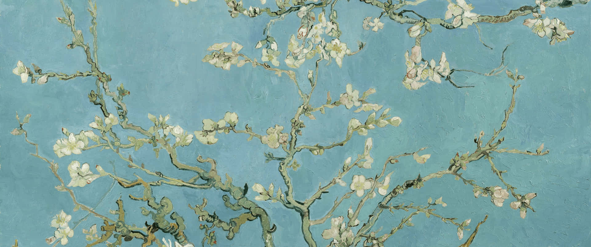 Flores De Amêndoa Van Gogh Papel de Parede
