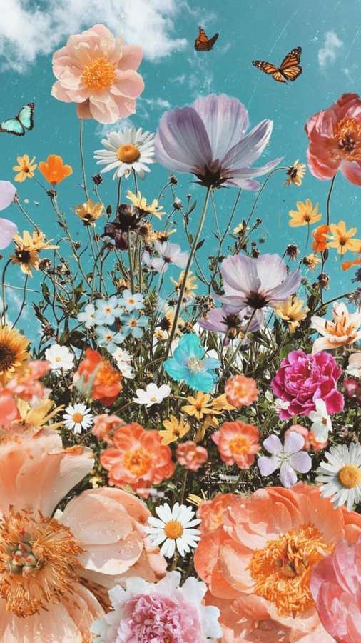 Um campo de flores silvestres coloridas com borboletas voando contra um céu azul brilhante. — Flores e borboletas Papéis de Parede