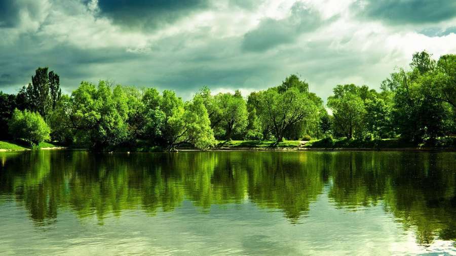 Árvores verdes exuberantes refletidas na água calma do lago sob céu nublado. — Floresta Papéis de Parede