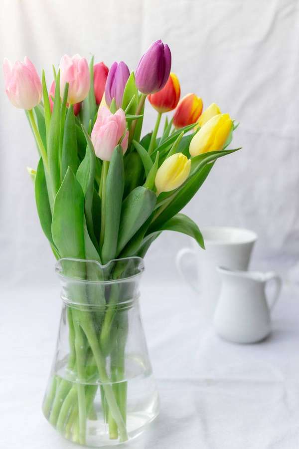 Colorful tulips in a glass vase with white ceramic pitchers in background. — Flower Vase Wallpaper