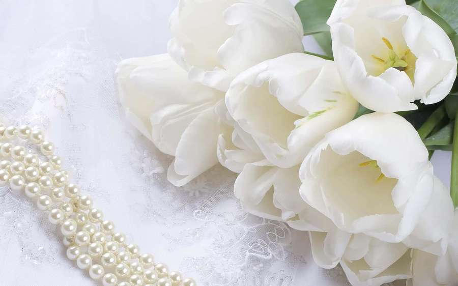 White tulips and cream pearls arranged on lace fabric. — Flower White Background