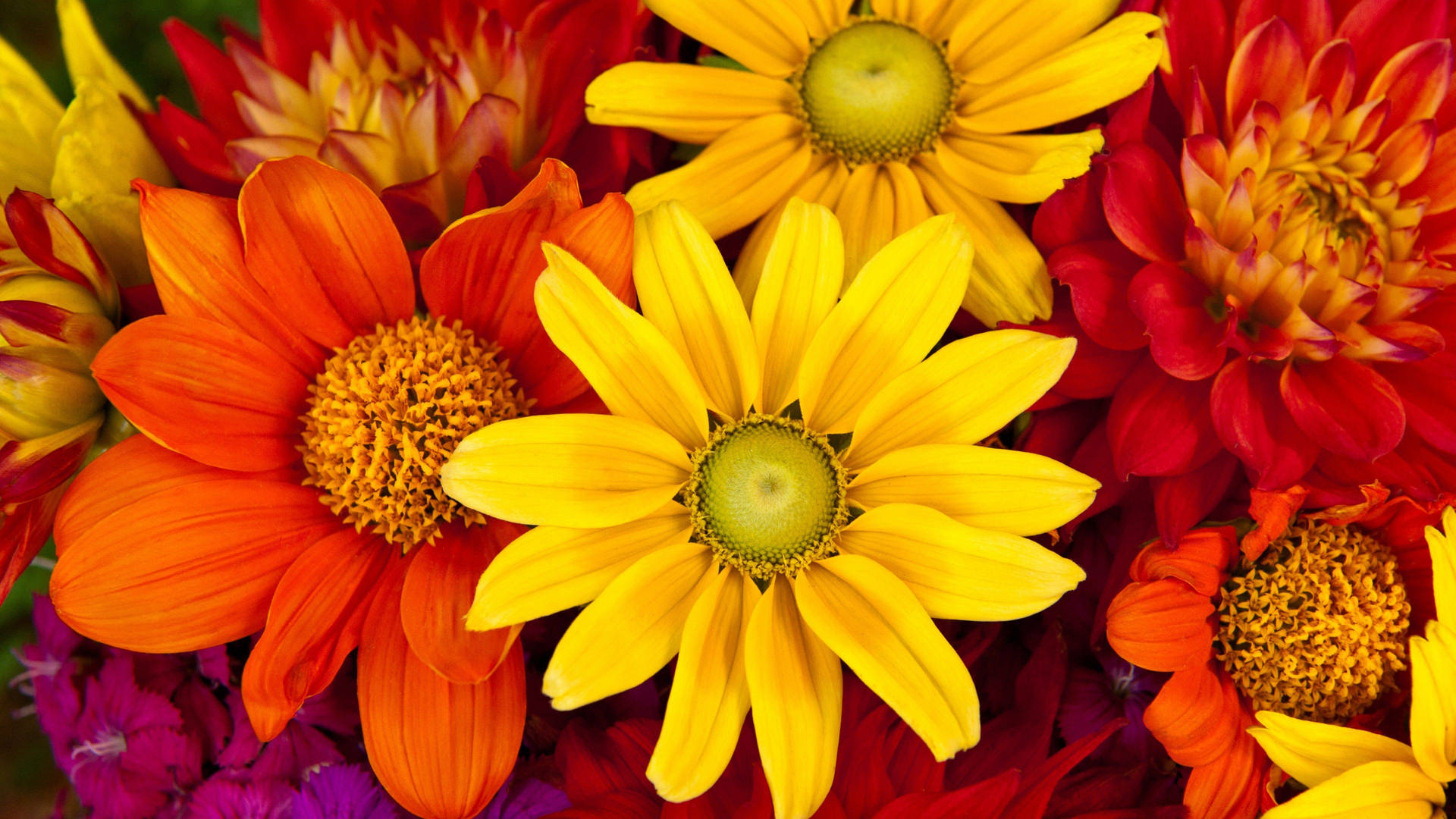 hd wallpapers of flowers 1080p