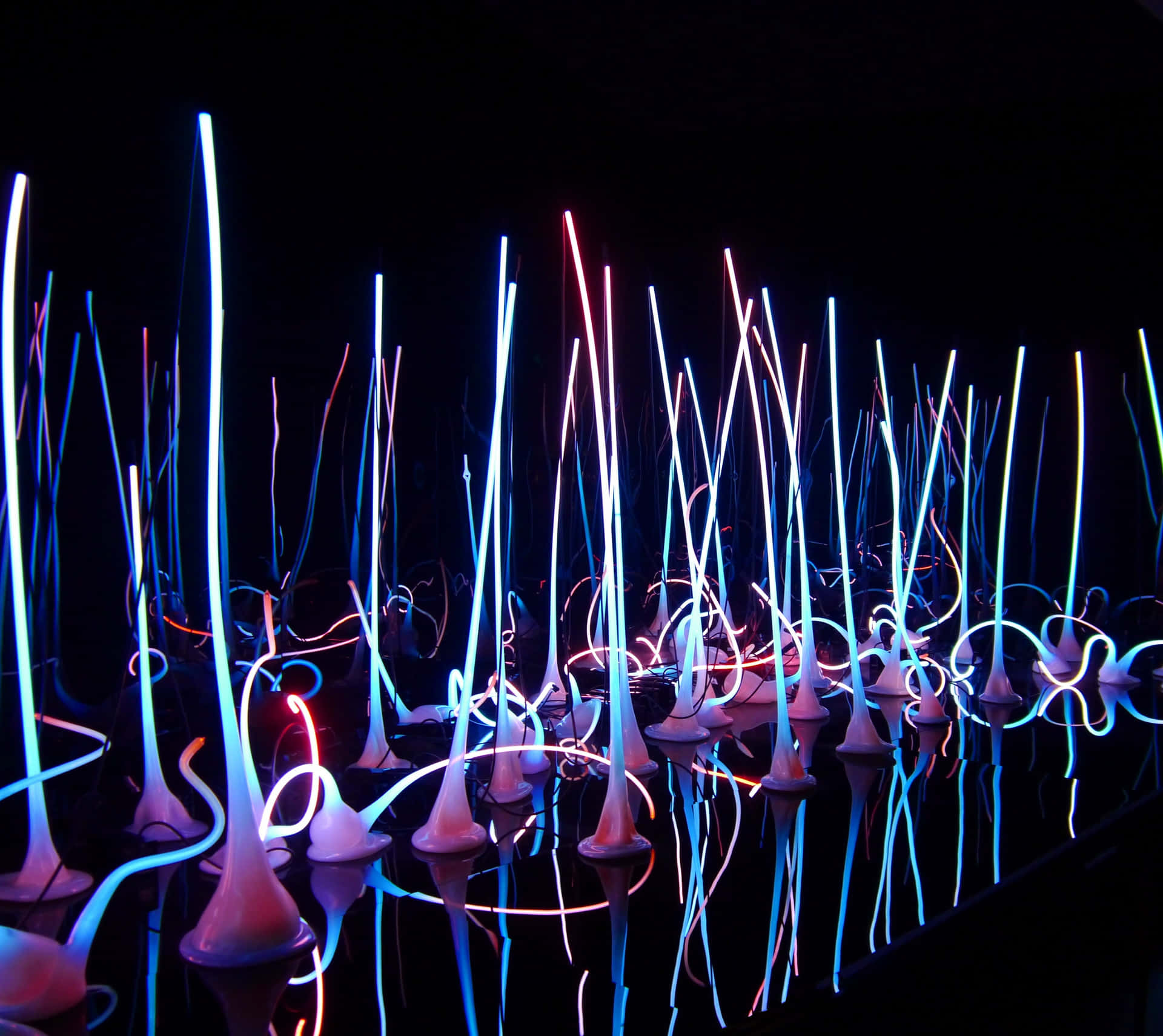 Fluorescerende Bakgrunnsbildet