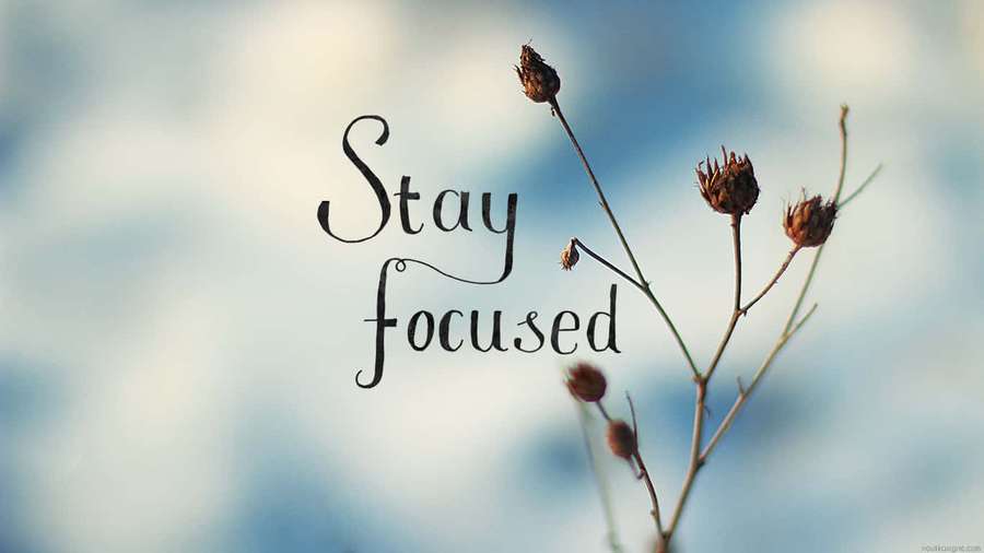 Dried flower stems with 'Stay focused' text against a soft blue sky. — Focused Wallpaper