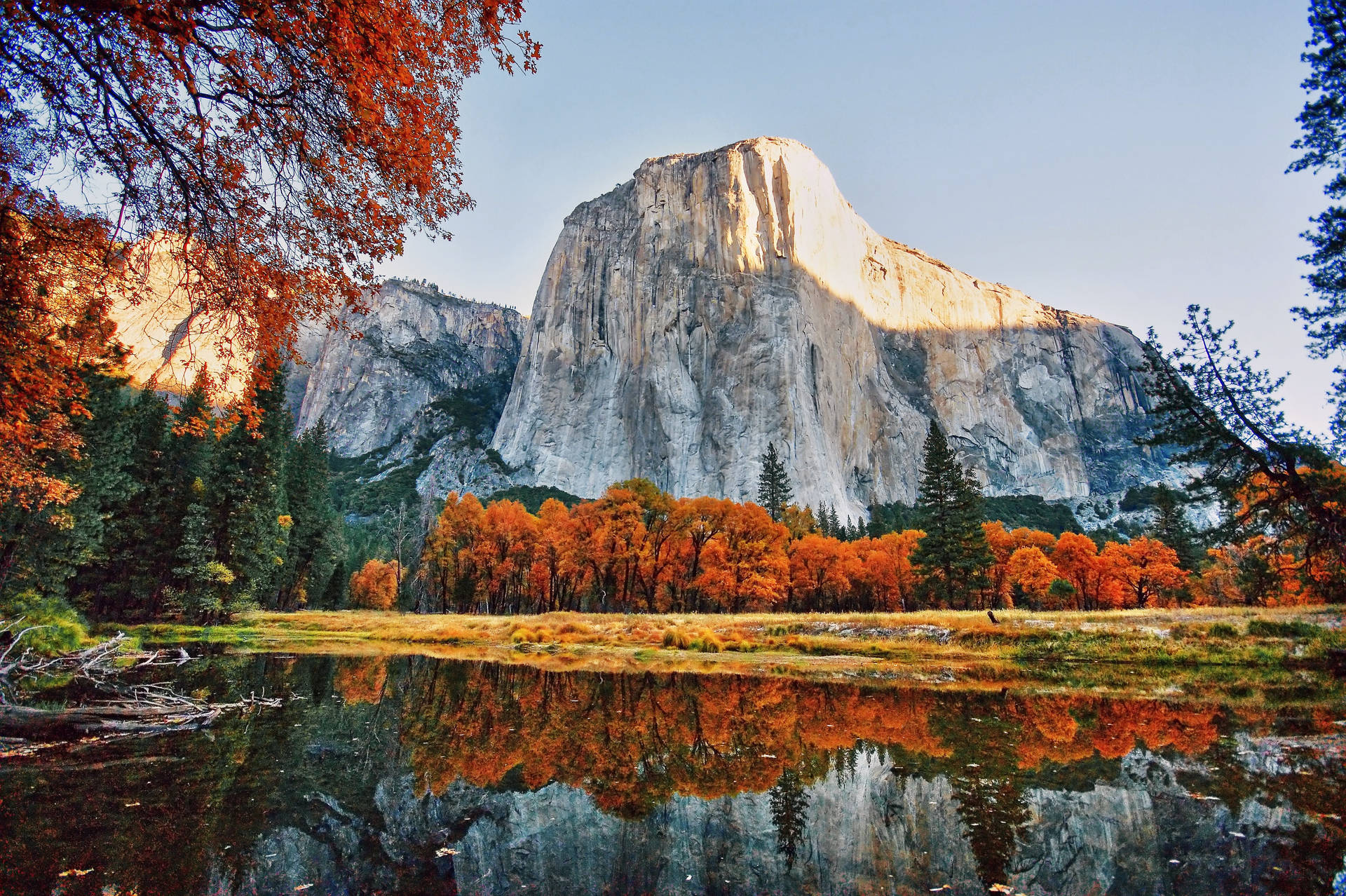 Fondo Del Parco Nazionale Di Yosemite