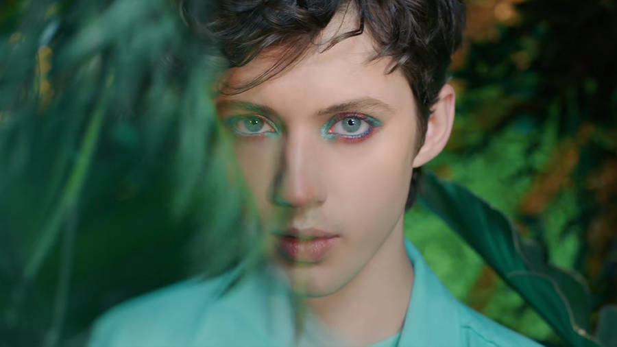 Fondo Di Troye Sivan