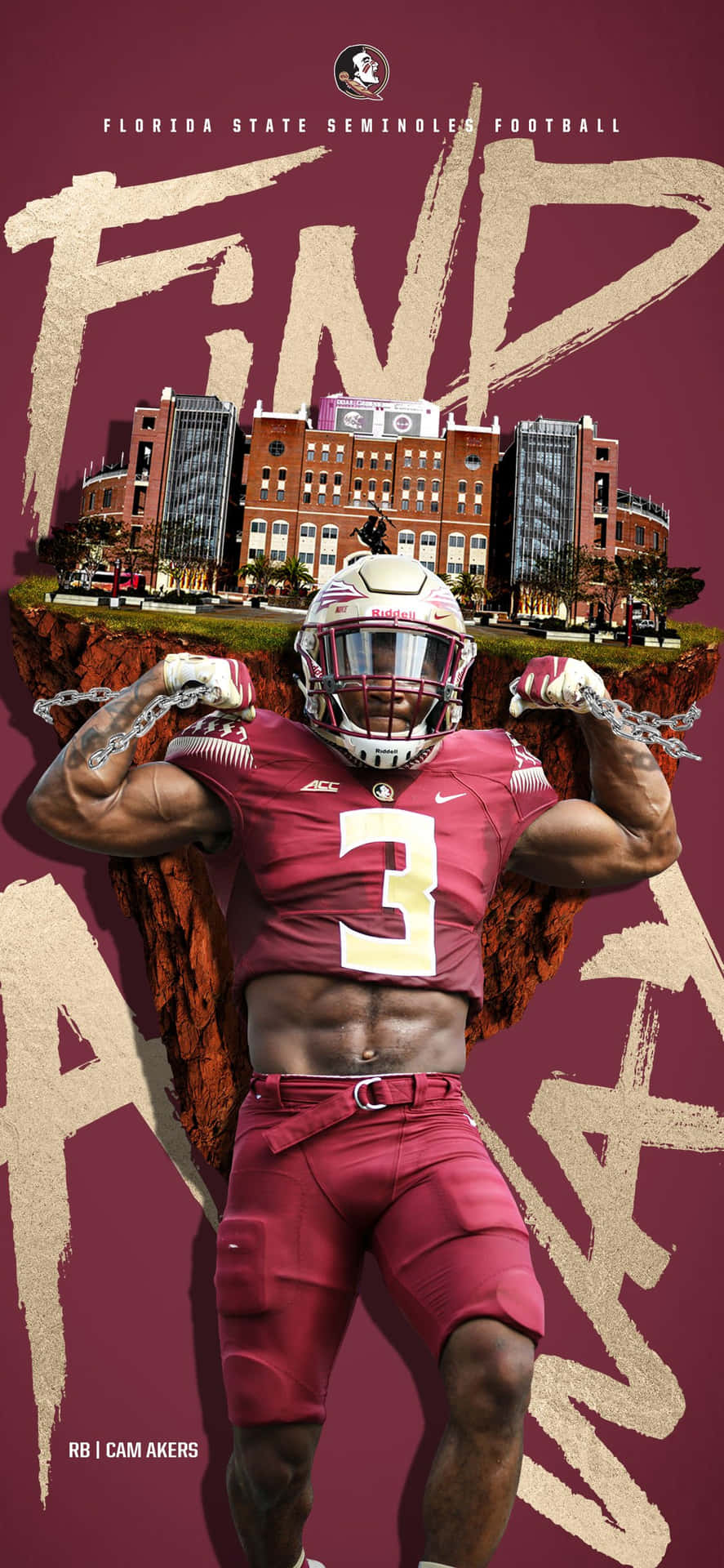 Fondo Fsu