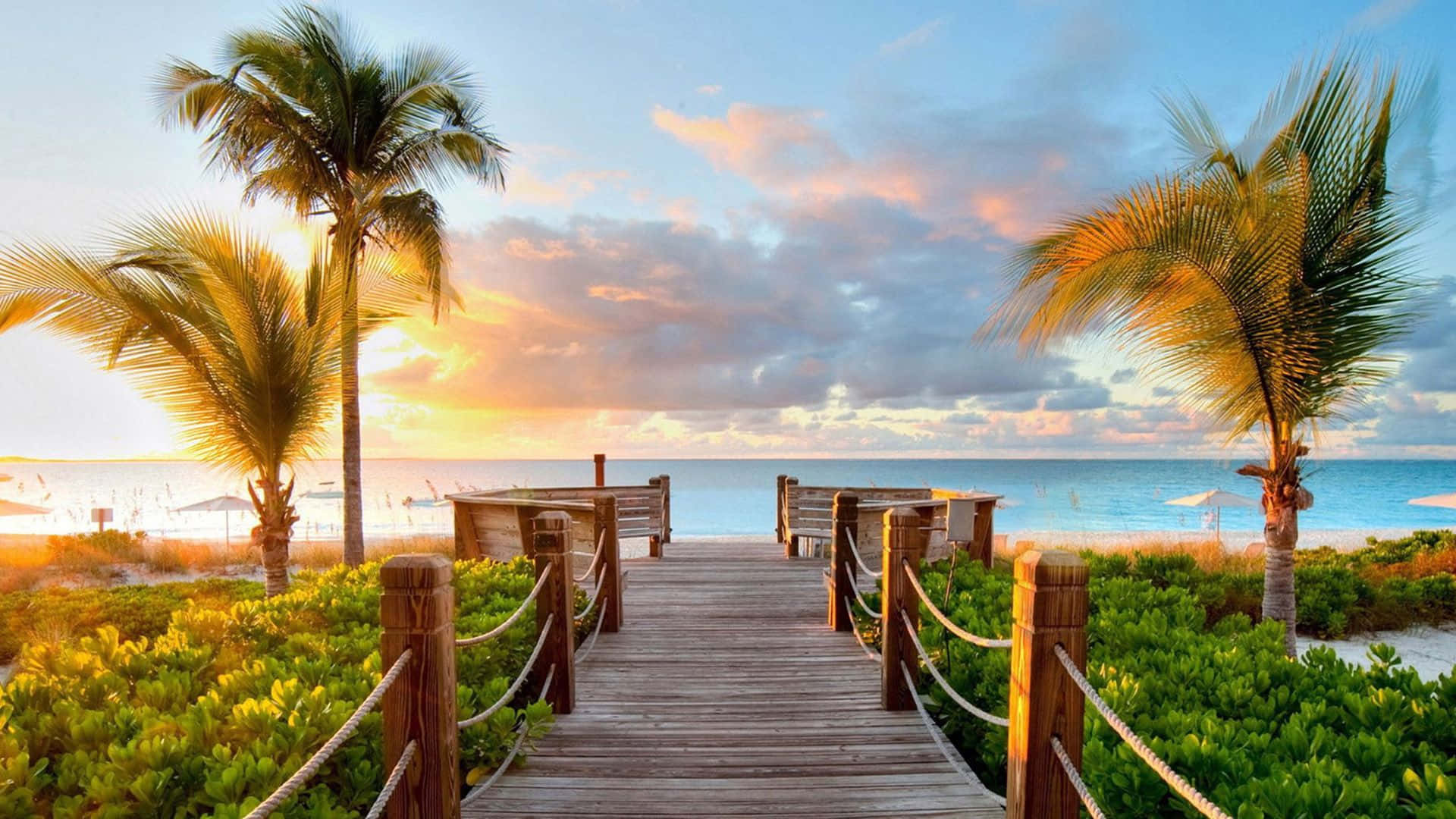 Fondo Sveglio Della Spiaggia