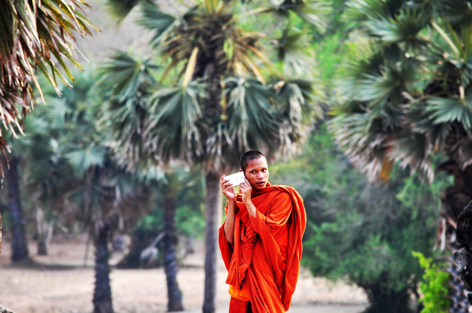 Fondods De Camboya