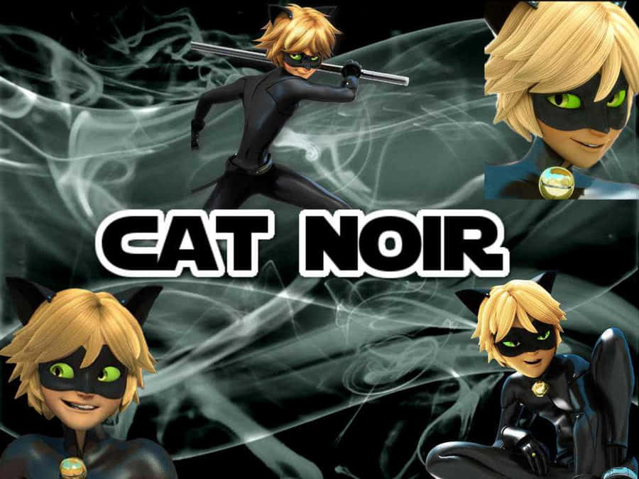 Fondods De Chat Noir