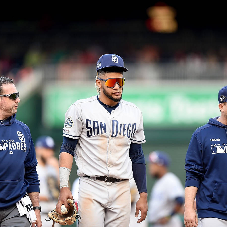 Fondods De Fernando Tatis Jr