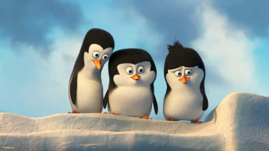 Fondods De Pingüinos Bebé
