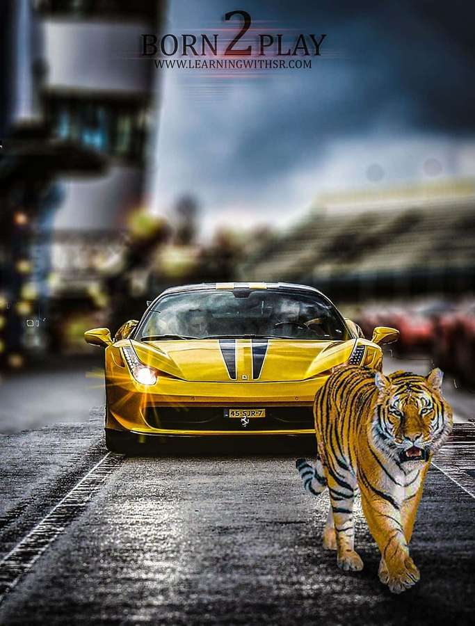 Un tigre camina junto a un Ferrari amarillo en una pista de carreras mojada bajo cielos tormentosos. — Fondos de Cb Fondos
