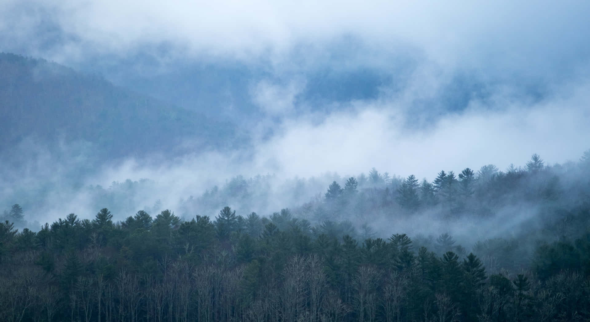 Fondos De Pantalla Del Parque Nacional Great Smoky Mountains Fondo de pantalla