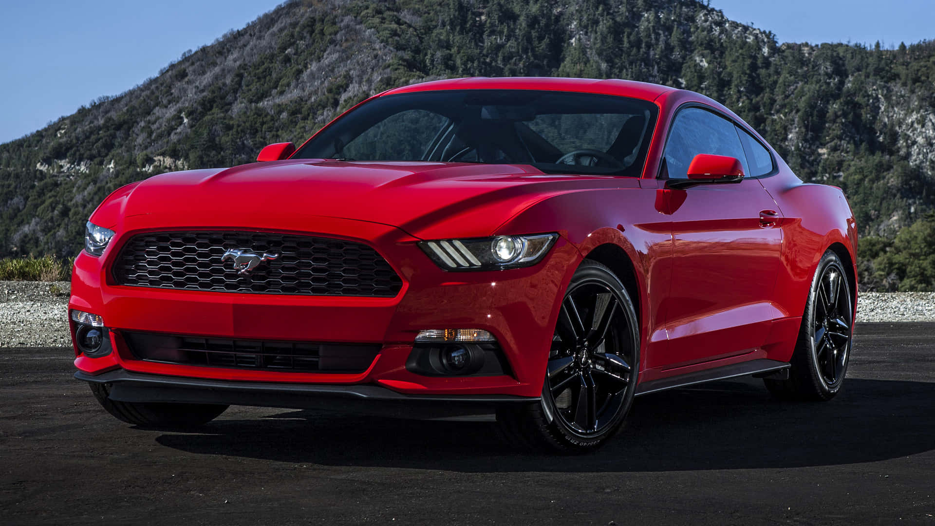 Ford Mustang Ecoboost Wallpaper