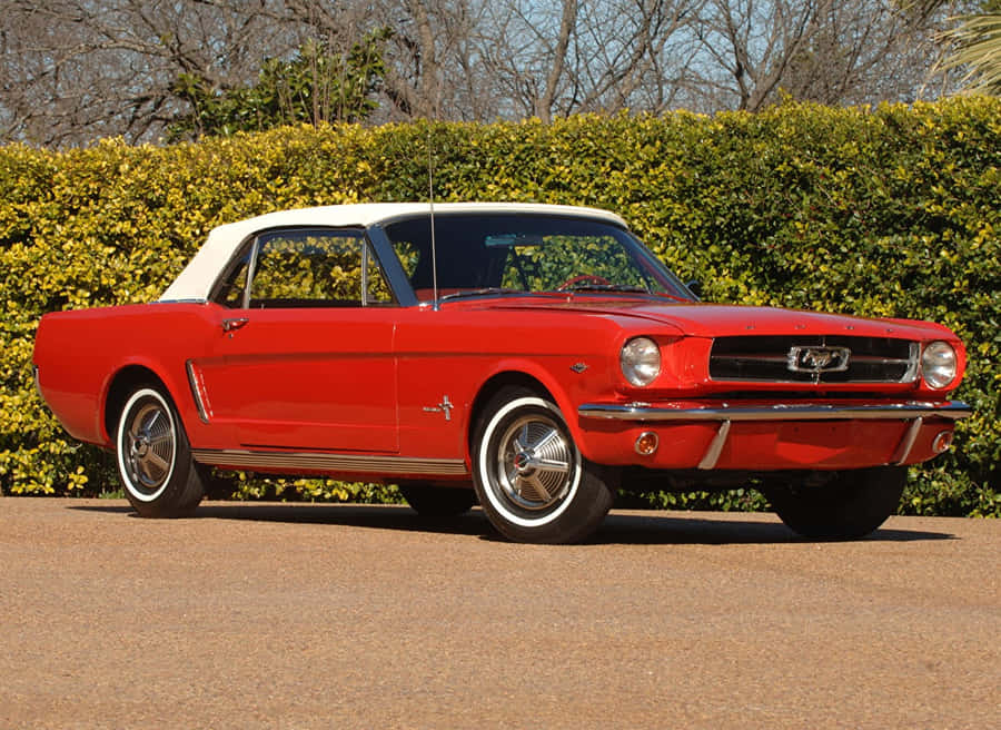 Ford Mustang Gt Convertible Fond d'écran