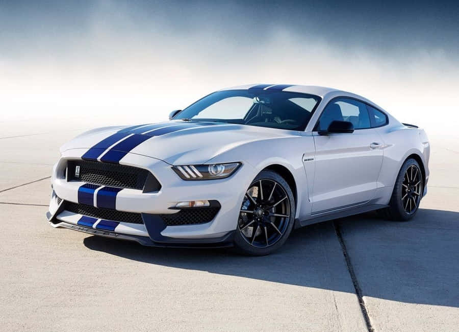 Ford Mustang Shelby GT350, sports car, 4k wallpaper | Sports car wallpaper,  Car wallpapers, Shelby gt350r