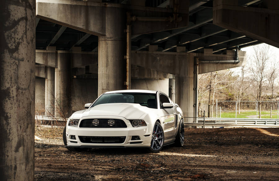 Ford Mustang Hd Fond d'écran