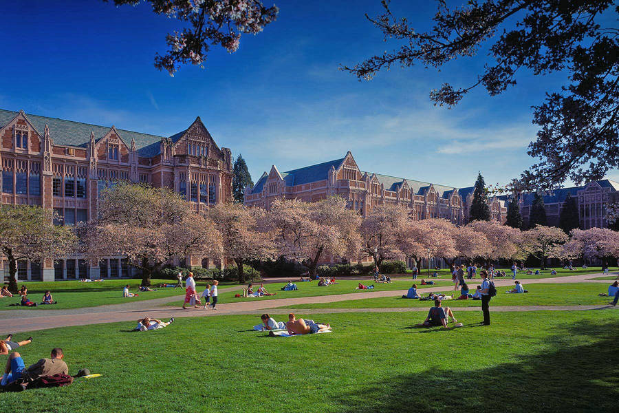 Fotos Da Universidade De Washington