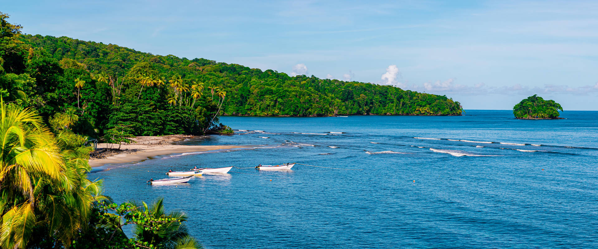 Fotos De Tobago