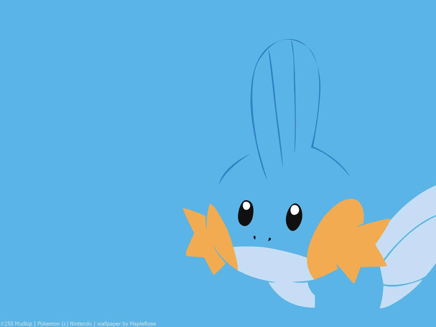 Fotos Do Mudkip