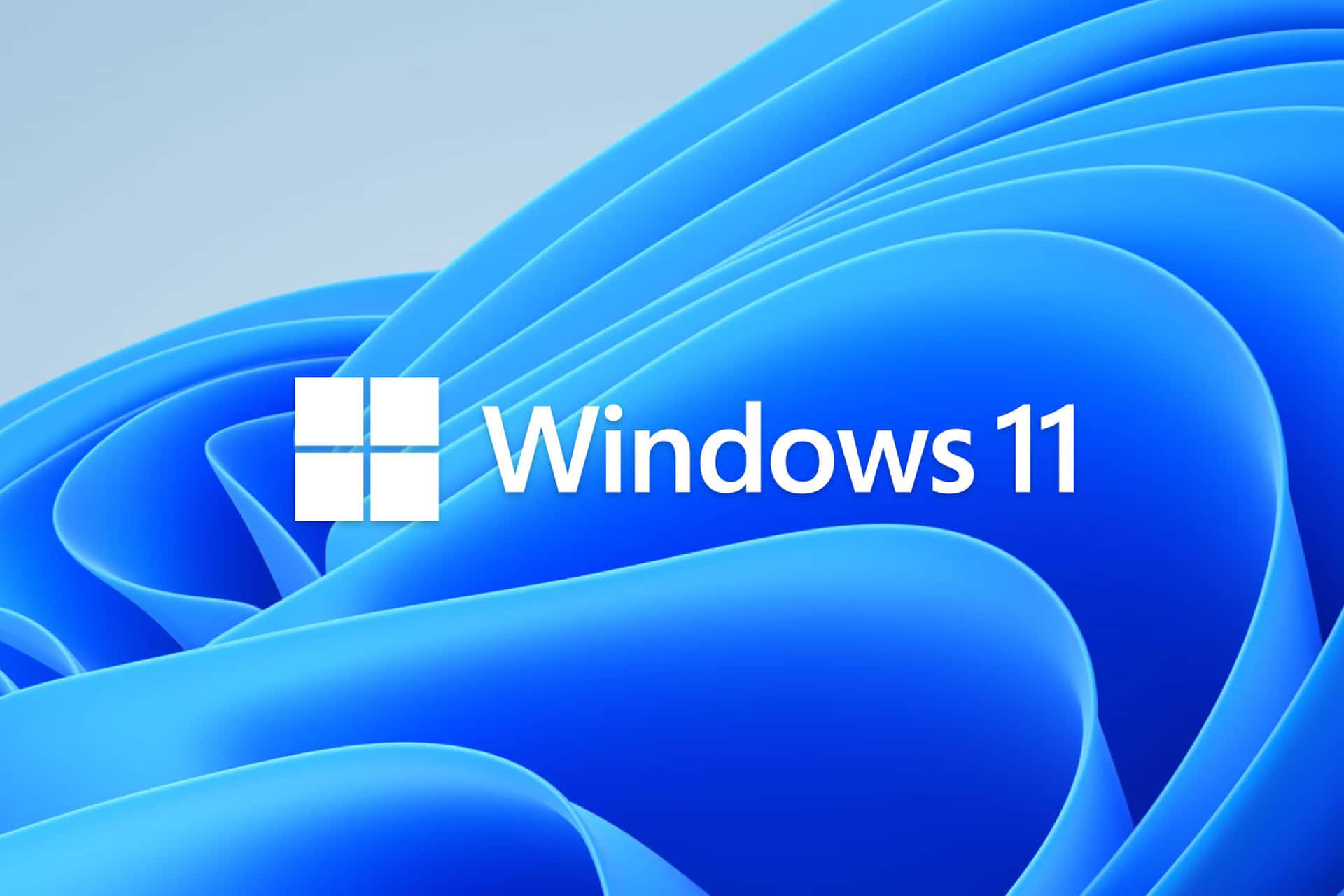 Fotos Do Windows 11