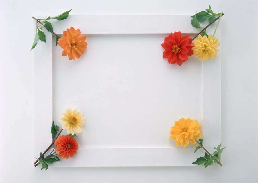 White picture frame decorated with colorful dahlia flowers and green stems. — Frame Picture