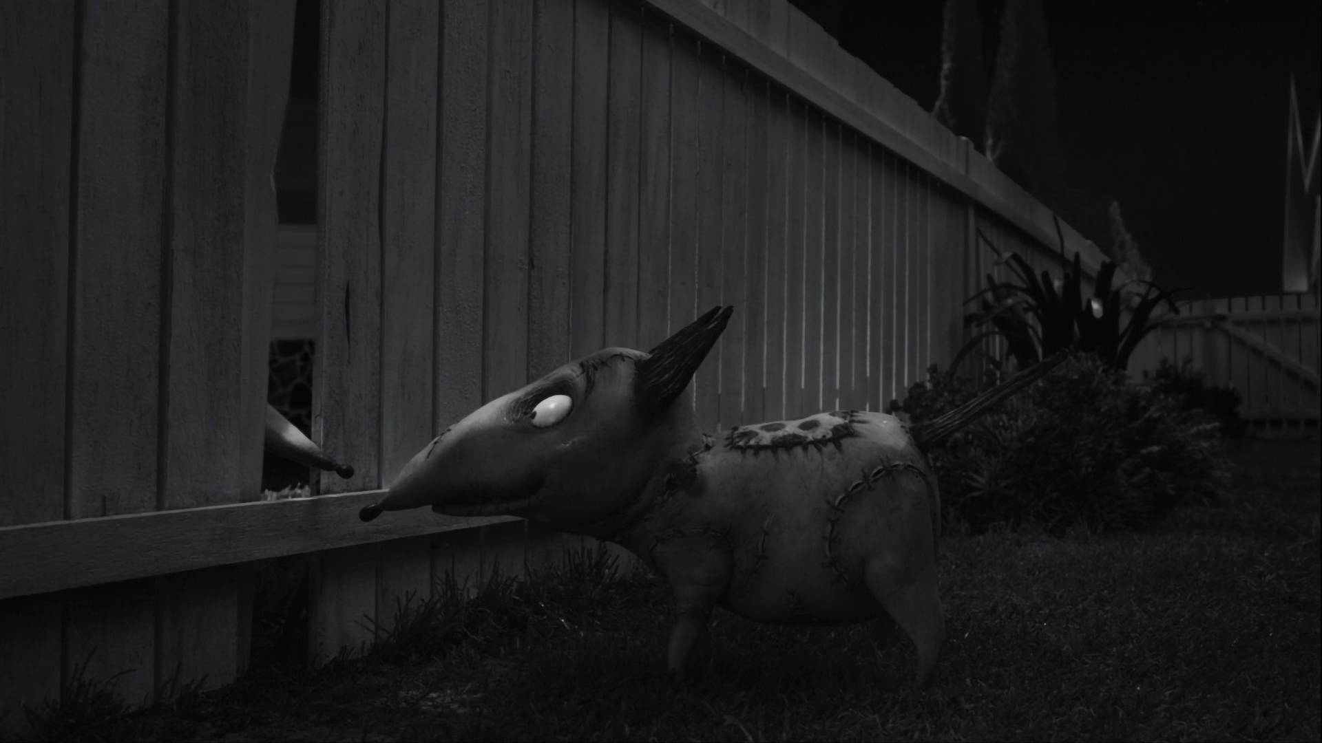 Frankenweenie Wallpaper