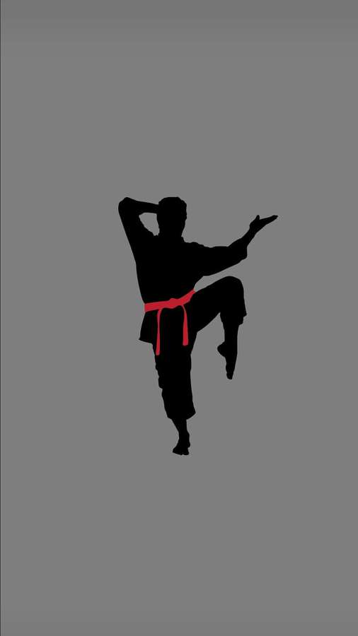 Silhueta preta de artista marcial em pose de chute com cinto vermelho em fundo cinza — Fundo de karate Papéis de Parede