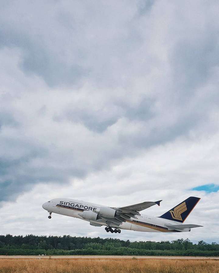 Avião Singapore Airlines A380 decolando sob céu nublado perto de uma floresta. — Fundo de mosca Papéis de Parede