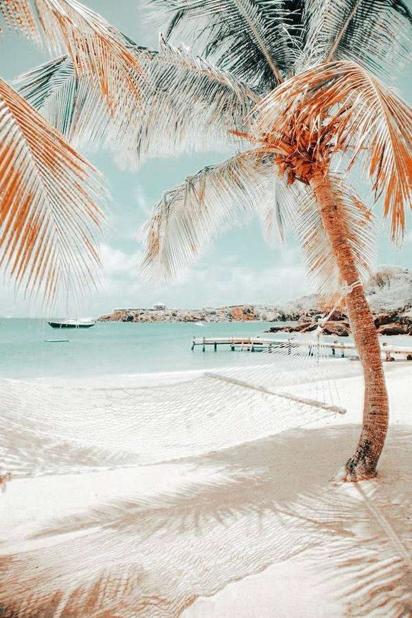 Praia nevada com palmeira e rede sob água turquesa e barcos distantes. — Fundo de palmeira Papéis de Parede