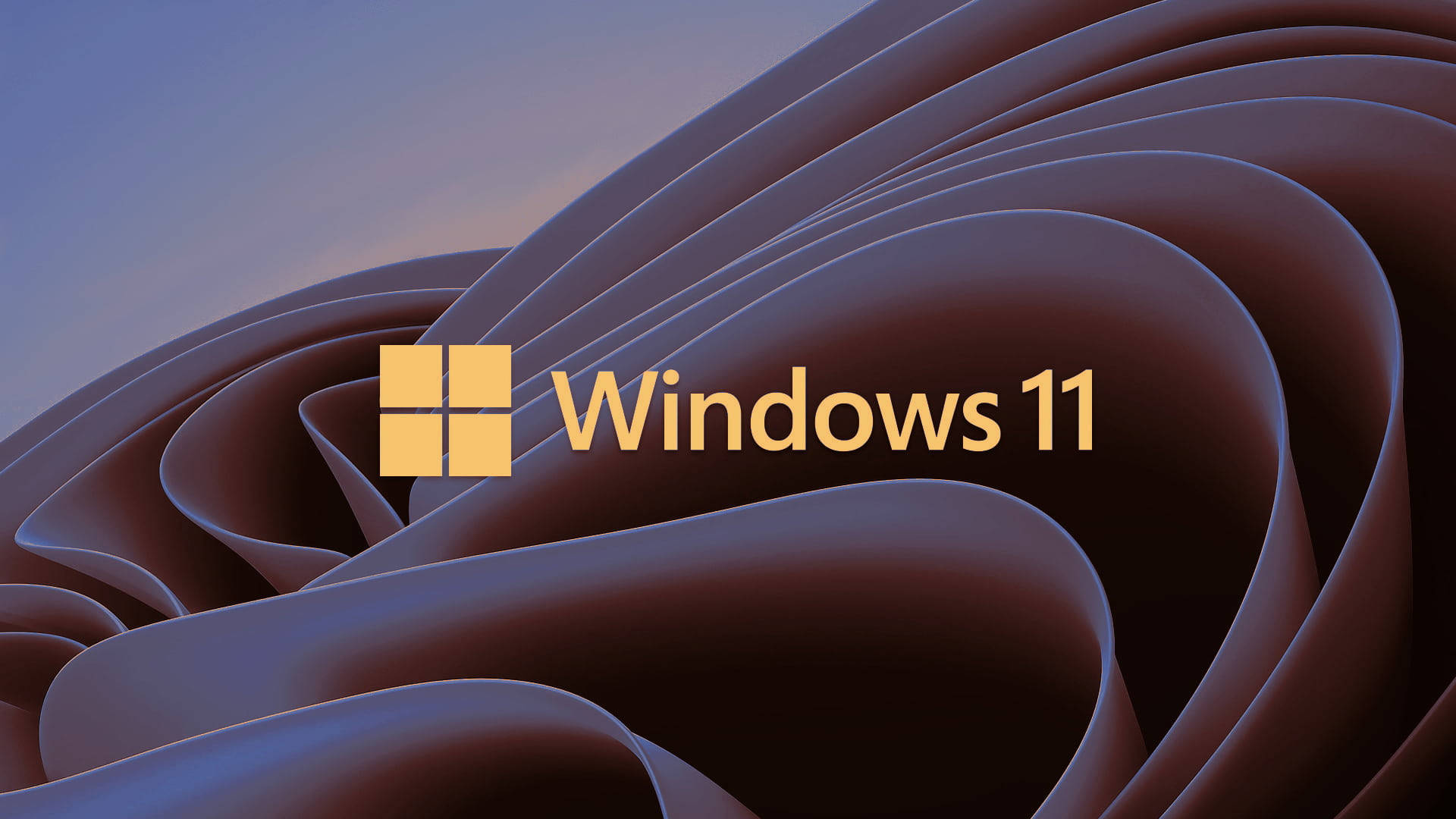 Fundo Do Logotipo Do Windows 11
