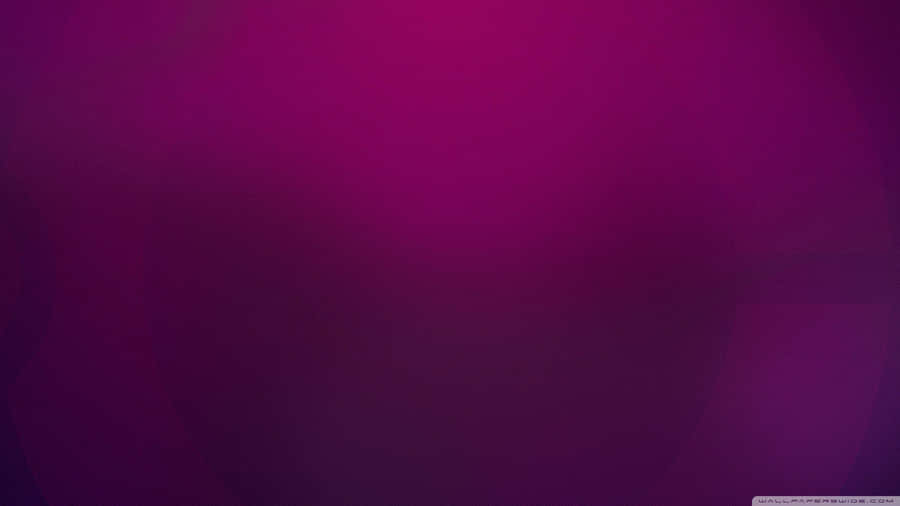 Fundo Roxo Liso