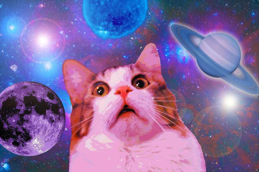 A surprised cat floating in a colorful space scene with planets and stars. — Funny Cat Background