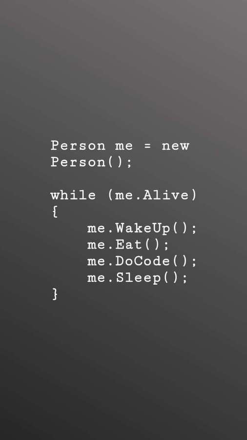 Programming code snippet showing a person's daily routine loop. — Funny Coding Wallpaper