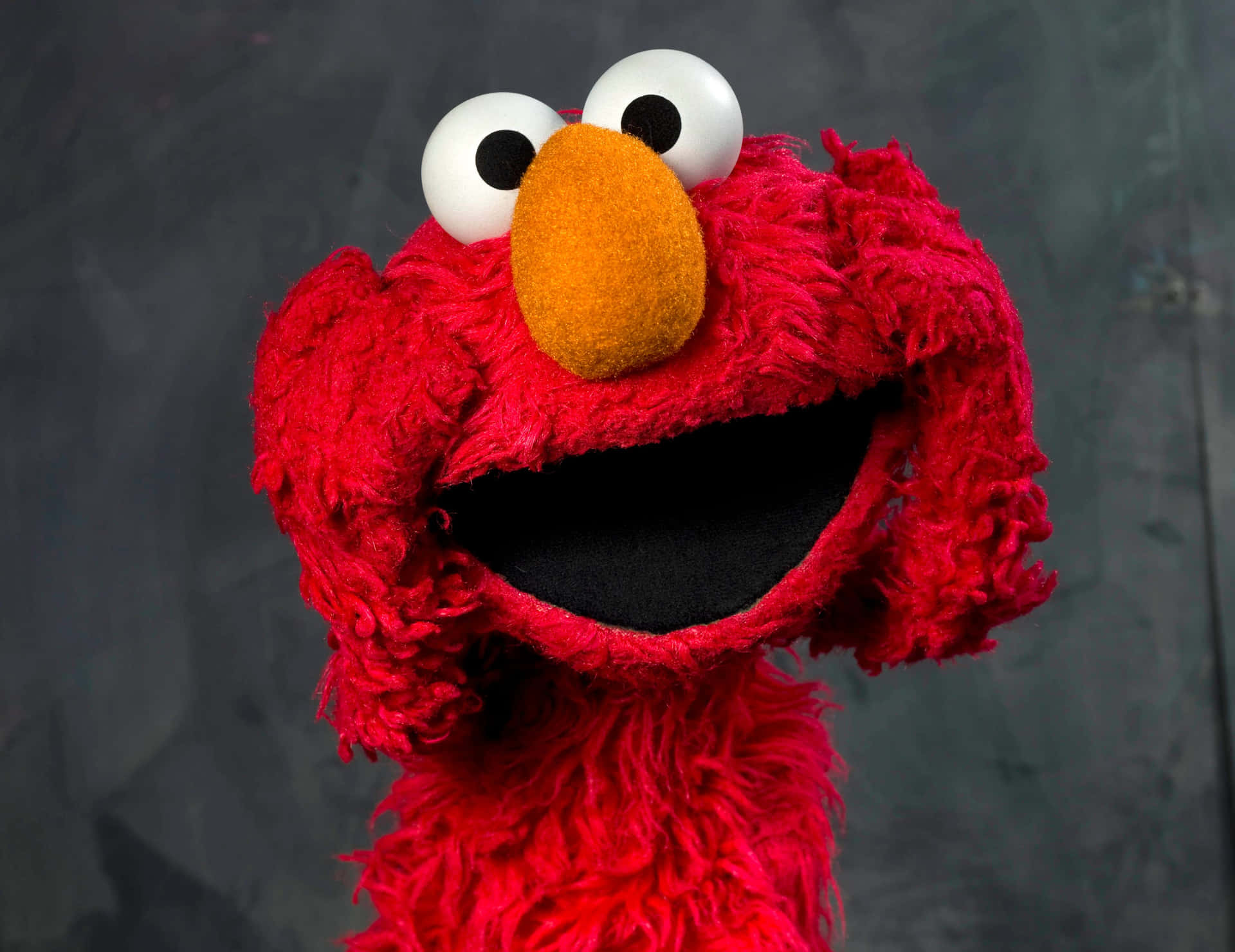 Funny Elmo Pictures Wallpaper