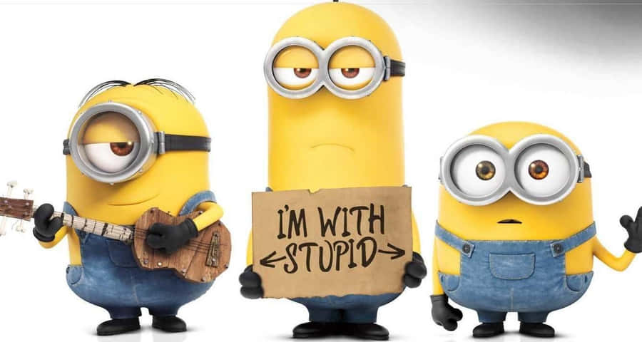 Funny Minion Pictures Wallpaper