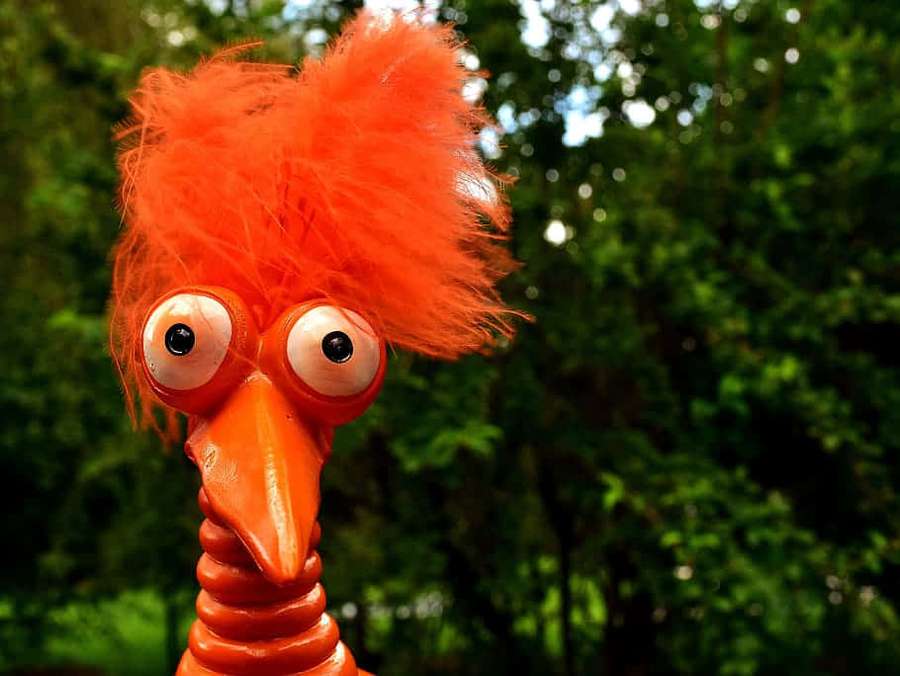 Sometimes, You Just Have To Laugh At Weird Things — Funny Weird Picture
