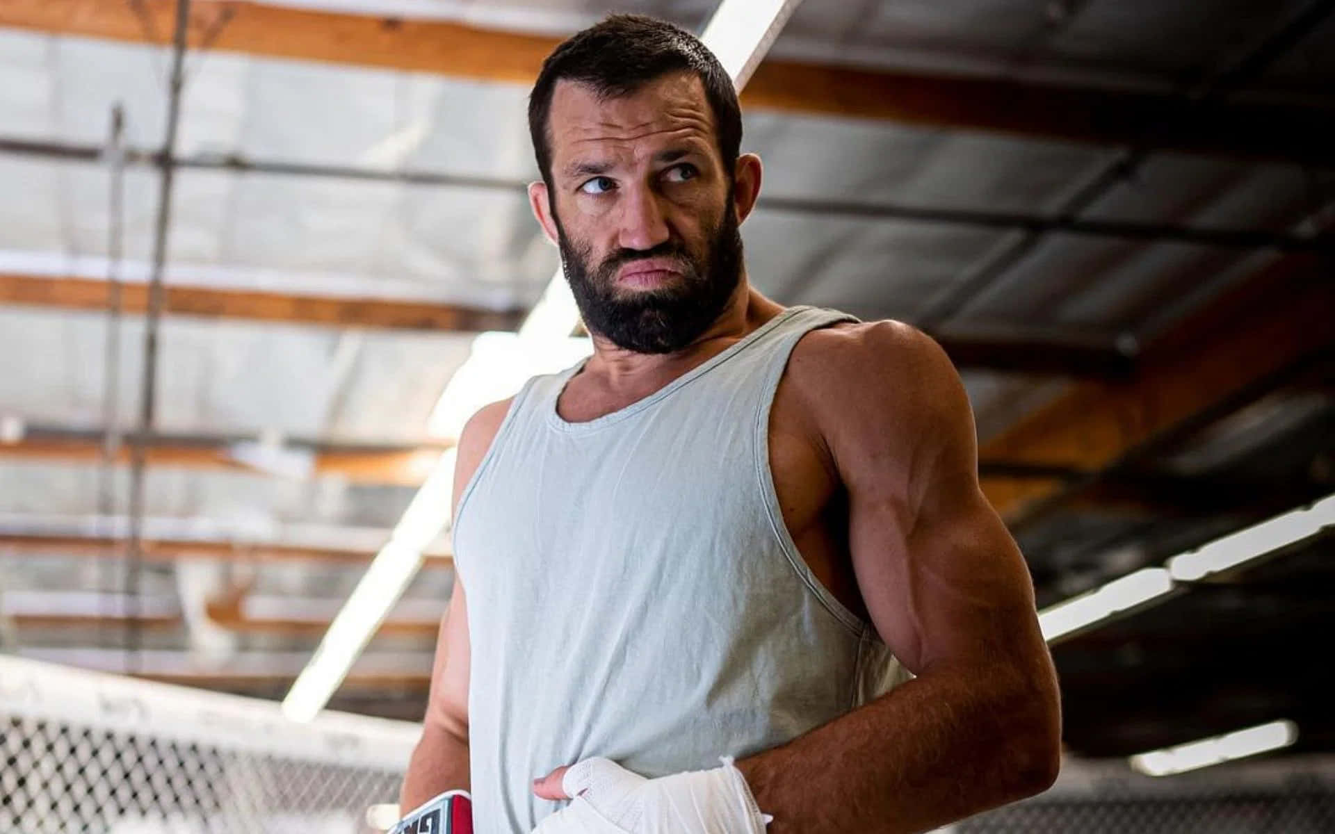 [100+] Luke Rockhold Wallpapers | Wallpapers.com