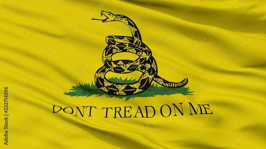 Yellow flag with coiled snake and text dont tread on me — Gadsden Flag Wallpaper