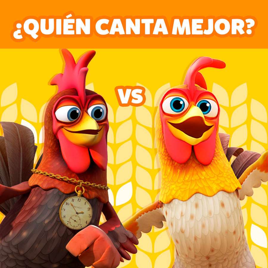 Duas galinhas animadas competindo em um duelo de canto. — Galinha Papéis de Parede