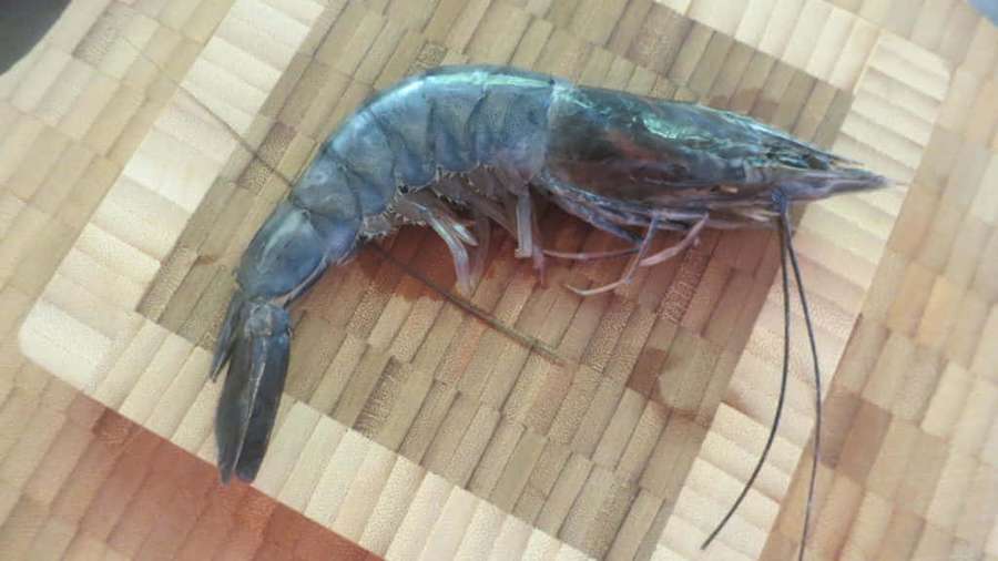 Camarón crudo sobre una tabla de cortar de madera — Gamba Fondos de pantalla