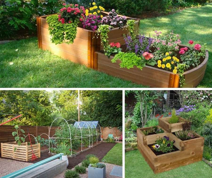 Raised wooden garden beds filled with blooming flowers in a sunny backyard. — Garden Bed Wallpaper