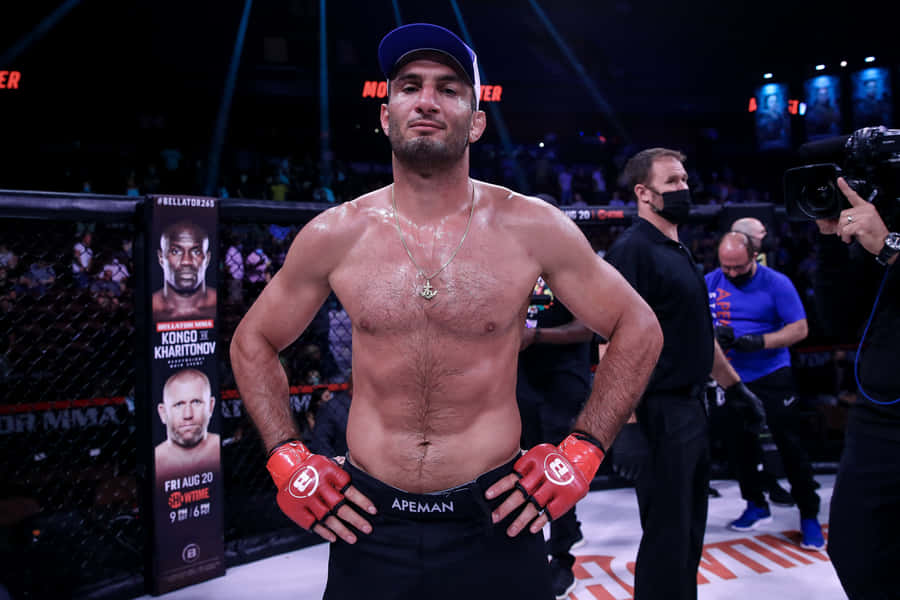 Gegard Mousasi Fond d'écran