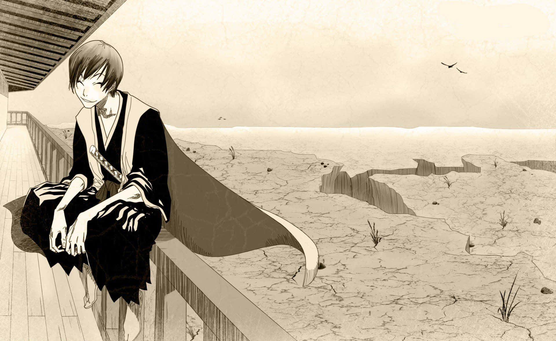 Gin Ichimaru Achtergrond