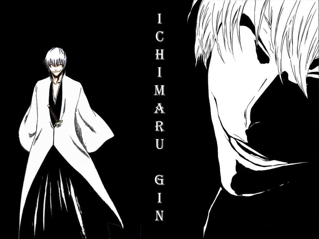 Gin Ichimaru Fondo de pantalla