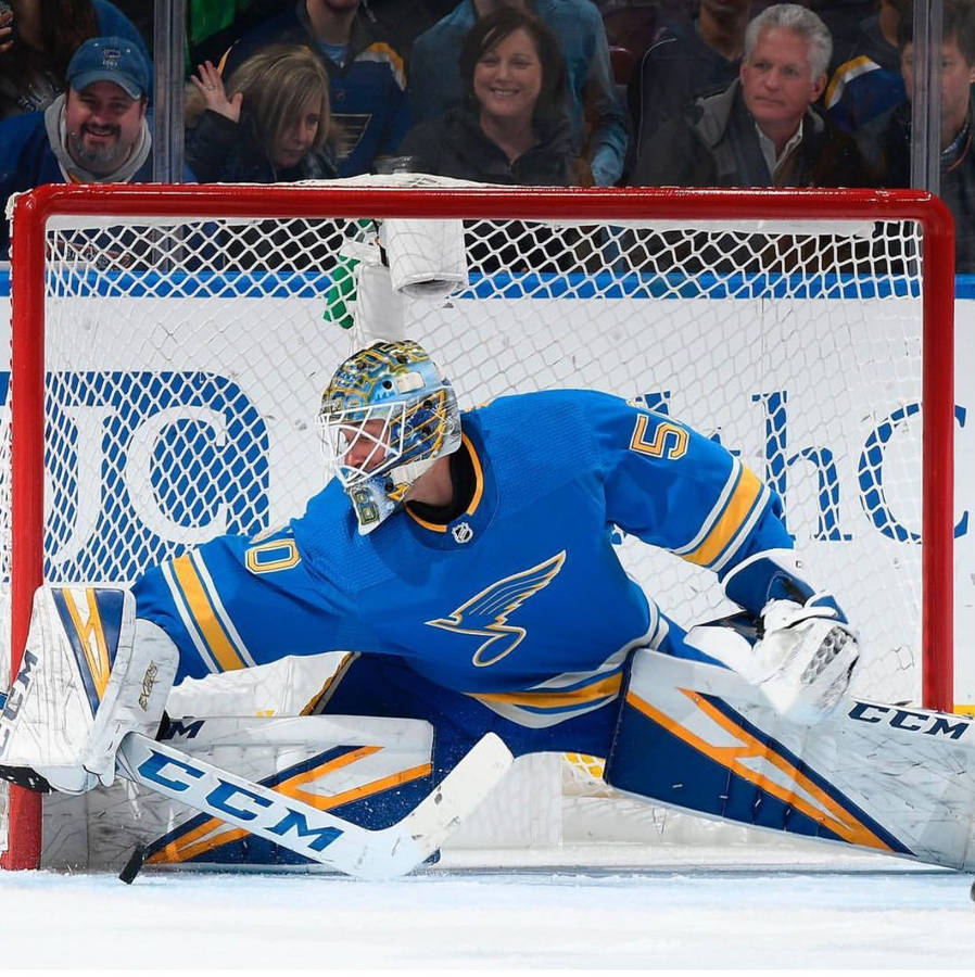 Giordano Binnington Sfondo